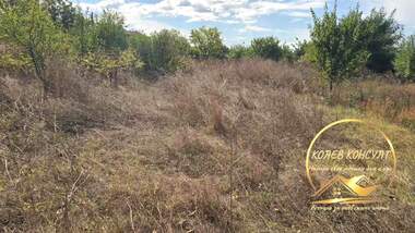 For sale - For Construction in Dimitrovgrad,  Haskovo