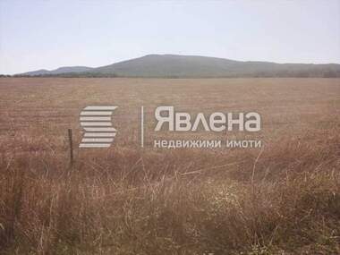 Verkauf - Landwirtschaftlich Grundstück in Rawadinowo,  Burgas
