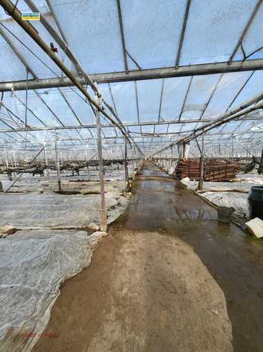For sale - Agricultural land in Govedare,  Pazardjik