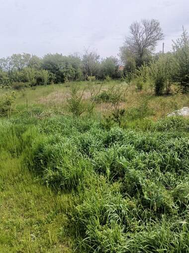 Verkauf - Baugrundstück in Podaywa,  Razgrad