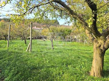 Satış - İnşaat arsası olarak Trakata,  Varna