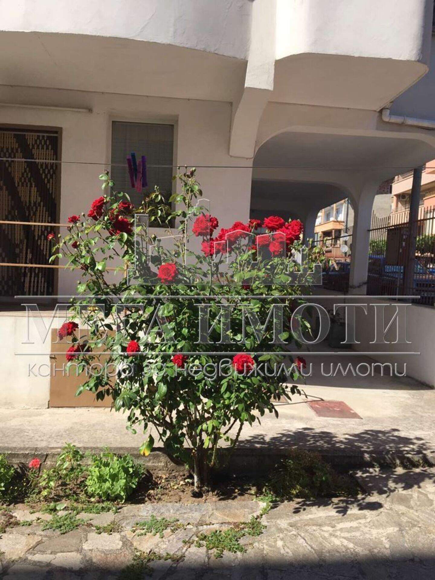 Otel olarak Primorsko, Burgas – fotoğraf 2