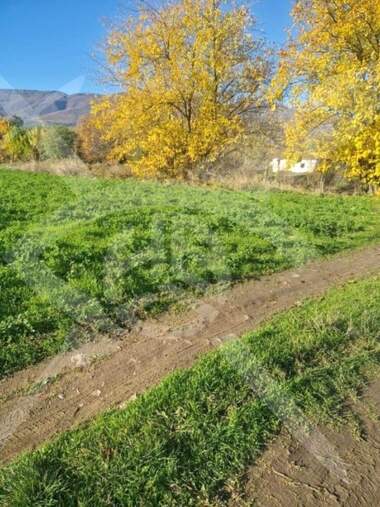 Продажба - Земеделска земя в Долнослав,  Пловдив