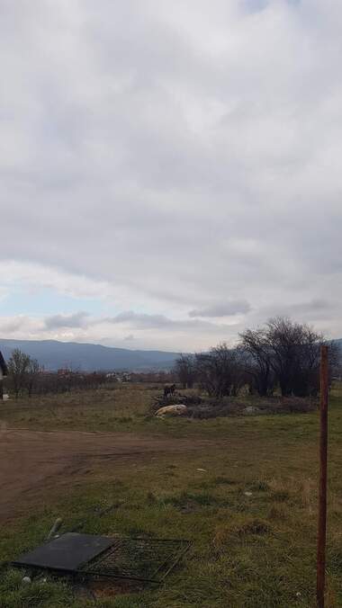 For sale - For Construction in Sapareva Bania,  Kiustendil