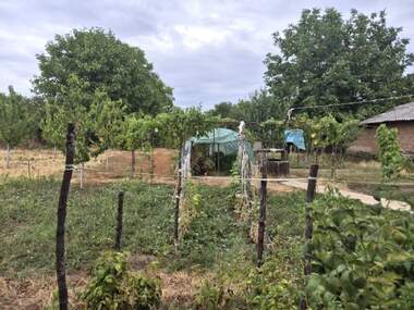 Vânzare - Casă în Botunia,  Vrața