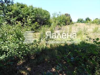Verkauf - Landwirtschaftlich Grundstück in Warwara,  Burgas