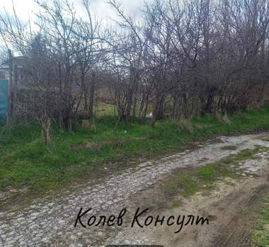 Satış - İnşaat arsası olarak Careva Poliana,  Haskovo