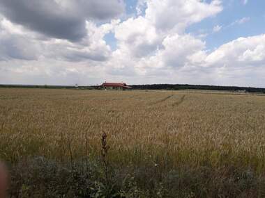 Продажба - Земеделска земя в Кичево,  Варна