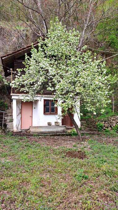 For sale - House in Kotenovci,  Montana
