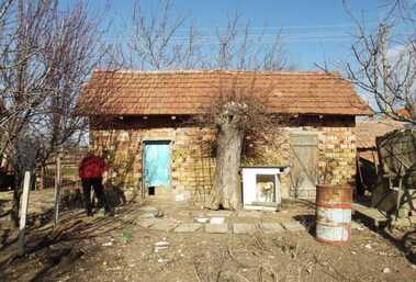 Verkauf - Haus in Barzina,  Wraza