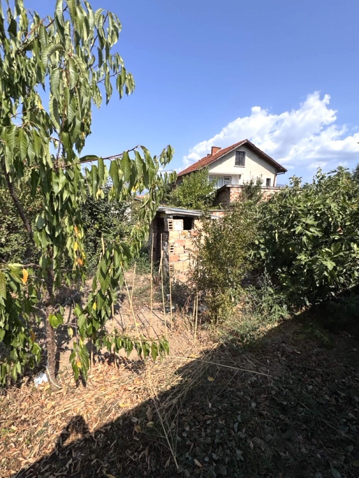 House in Iagoda, Stara Zagora – photo 6