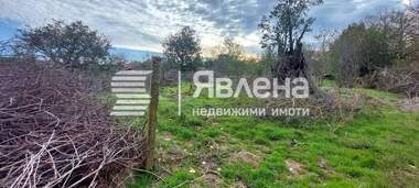 Продажба - Къща в Гюльовца,  Бургас