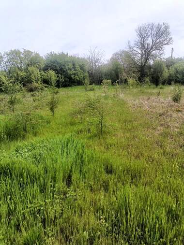 Verkauf - Baugrundstück in Podaywa,  Razgrad
