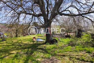 For sale - House in Krumovo,  Varna