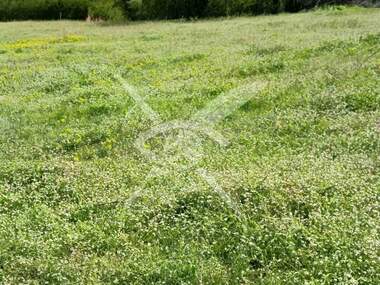 For sale - For Construction in Karlovo,  Plovdiv
