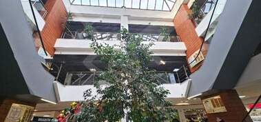 For sale - Store in Center,  Plovdiv