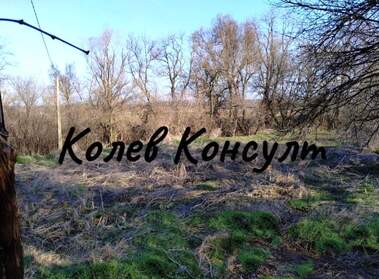 Vânzare - Casă în Koren,  Haskovo