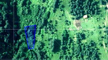 For sale - Meadow/pasture in Batak,  Pazardjik