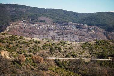 For sale - For Construction in Baldevo,  Blagoevgrad