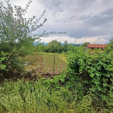 For sale - For Construction in Bansko,  Blagoevgrad