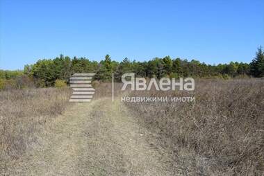 Продажба - Парцел за строителство в Царево,  Бургас