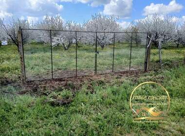 For sale - Orchard in Uzundjovo,  Haskovo