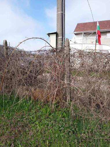 Vânzare - Teren de construcții în Sredna kula,  Ruse