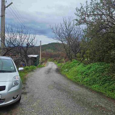 Verkauf - Landwirtschaftlich Grundstück in Ruen,  Plowdiw