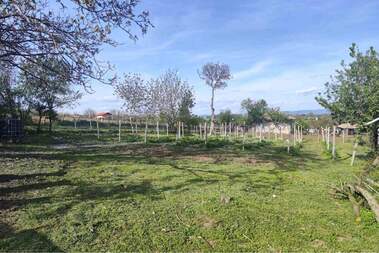 Satış - Ev olarak Baiaçevo,  Targovishte