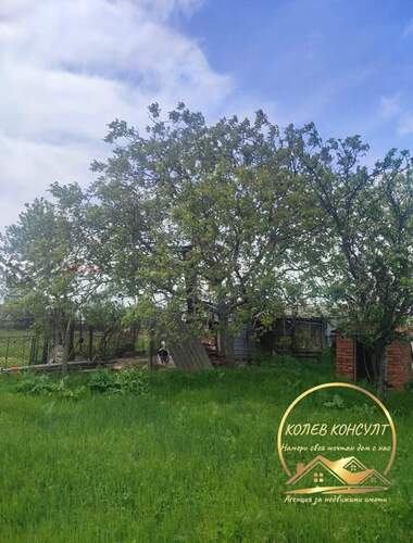 For sale - House in Studena,  Haskovo
