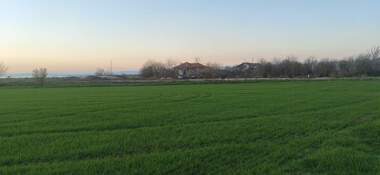 Verkauf - Baugrundstück in Goliam Tschardak,  Plowdiw