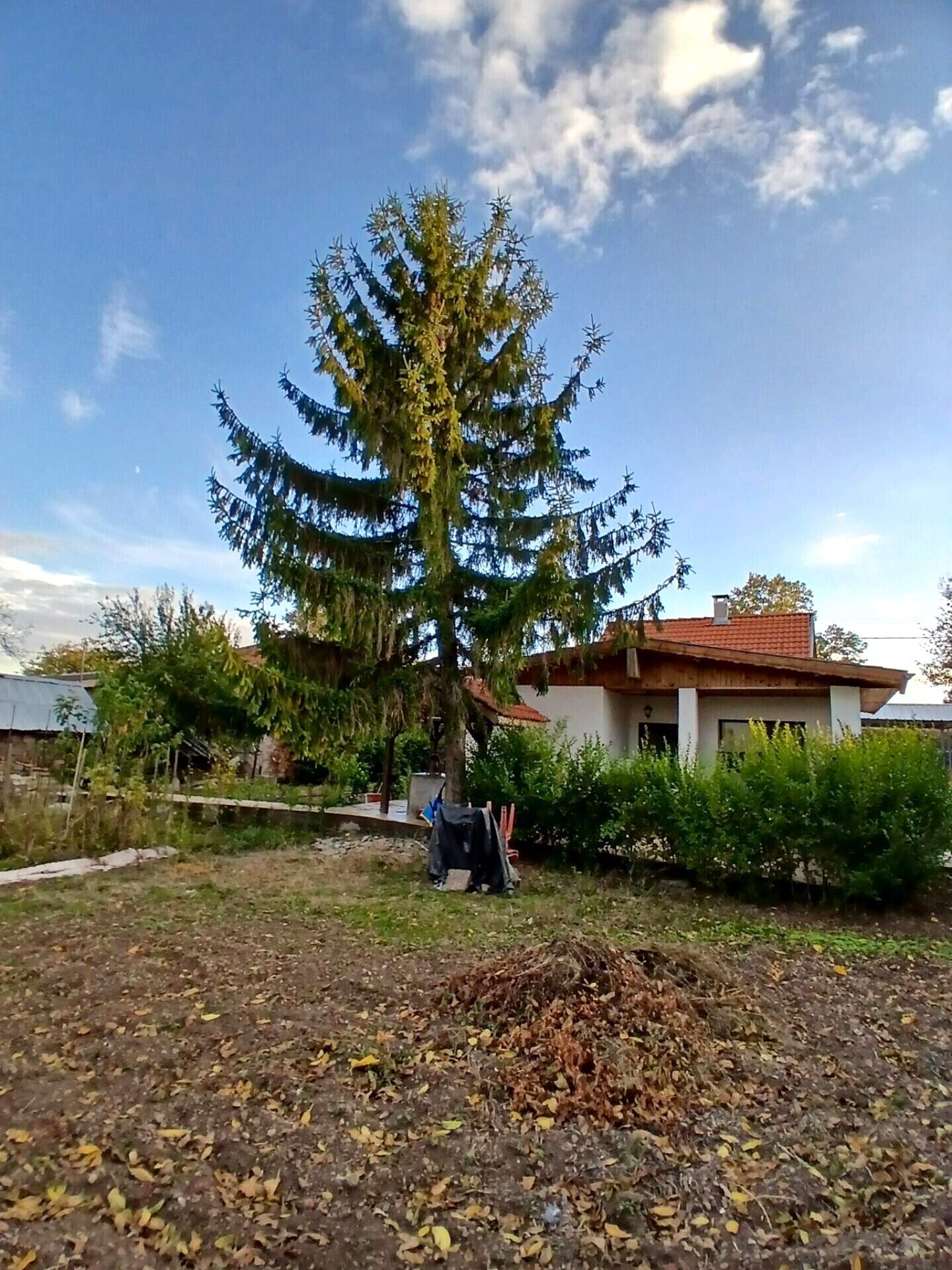 House in Sirakovo, Haskovo – photo 5