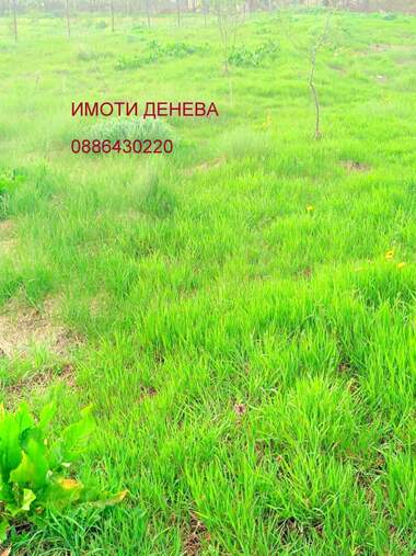 For sale - For Construction in Bezvoditsa,  Dobrich