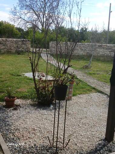 For sale - House in Spasovo,  Dobrich