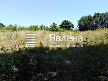 Verkauf - Landwirtschaftlich Grundstück in Warwara,  Burgas