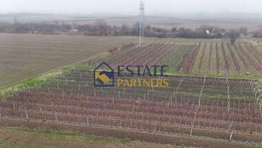 For sale - For Construction in Brestnik,  Plovdiv