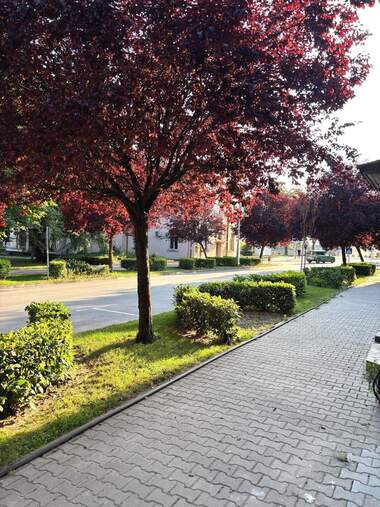 Închiriere - Birou/Magazin/Salon de frumusețe/Cabinet de stomatologie în Svilengrad,  Haskovo