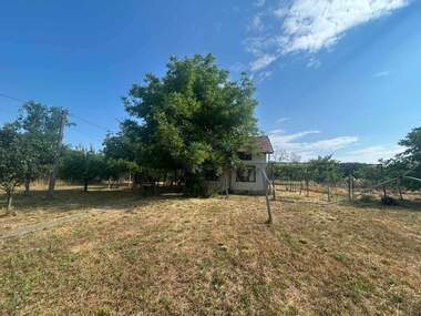 For sale - House in Shtarkovo,  Pazardjik