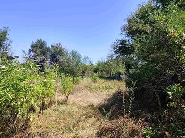 For sale - For Construction in Loziata,  Dobrich