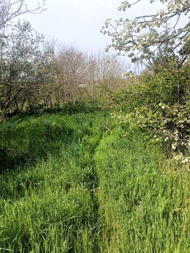 Satış - İnşaat arsası olarak Malak Porovec,  Razgrad