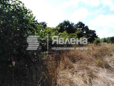 Verkauf - Landwirtschaftlich Grundstück in Warwara,  Burgas