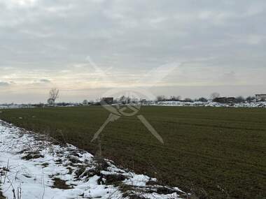Verkauf - Landwirtschaftlich Grundstück in Rakowski,  Plowdiw