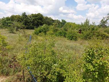 Продажба - Парцел за строителство във Вилна зона,  Търговище