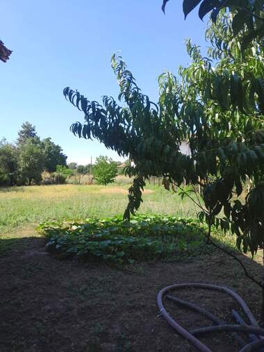 For sale - House in Slana Bara,  Vidin