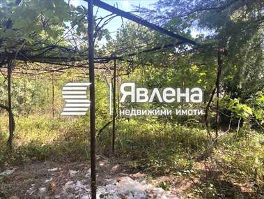 Verkauf - Baugrundstück in Aleksandrowo,  Burgas