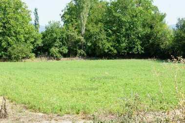 For sale - Agricultural land in jeliu Voyvoda,  Sliven