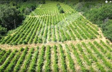 For sale - Agricultural land in Plovdiv,  Bulgaria