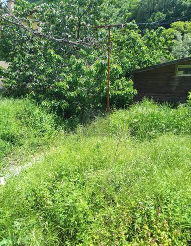 For sale - House in Pastra,  Kiustendil