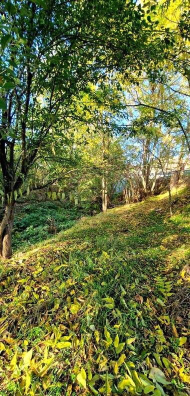 Vânzare - Teren agricol în Jilino,  Șumen