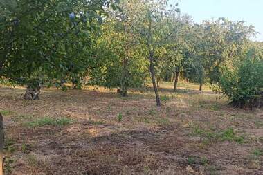 For sale - House in Suholoevtsi,  Gabrovo